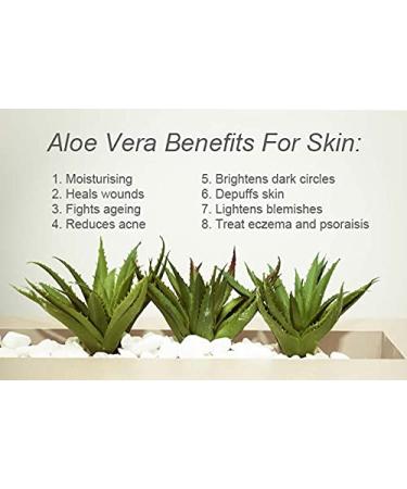 Organic Hair Solution- NOURISHING BODY OIL WITH (Mint & Eucalyptus)-Plant-based Formula Dry Skin Moisturizer & Hydrating Body Massage Oil for Radiant & Healthy Glow Nourishing After Shower & Bath - Buy Online on GoSupps.com