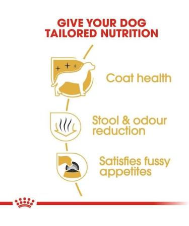 Royal Canin Maltese Adult | Pack of 3 | 3 x 500 g | Maltese Adult Dry Food | to Support Coat and Digestion | for Dogs from 10 Months - Buy Online on GoSupps.com