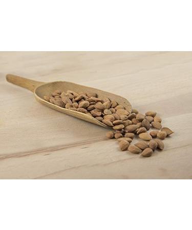 Buy Organic Bitter Apricot Seeds - 1000g Extra Herb | Pesticide-Free High Bitter Content Natural | Eco-Friendly eCommerce - Buy Online on GoSupps.com
