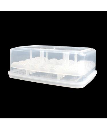 Snake Gecko Lizard Reptile Egg Incubator Tray with Thermometer | 16 Grids | Ideal for Snake, Lizard, Frog, Turtle | Incubation Box - Buy Online on GoSupps.com