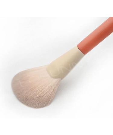 Buy DFHBFG 12 Piece Wood Handle Makeup Brush Set Perfect for Concealer Eye Shadow Blush & Powder | International Shipping Available - Buy Online on GoSupps.com