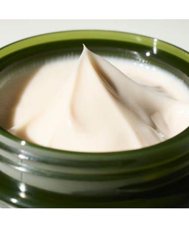 MIZON Peptide Ampoule Cream 1.69 fl oz - Anti-Wrinkle & Moisturizing Formula - Buy Online on GoSupps.com