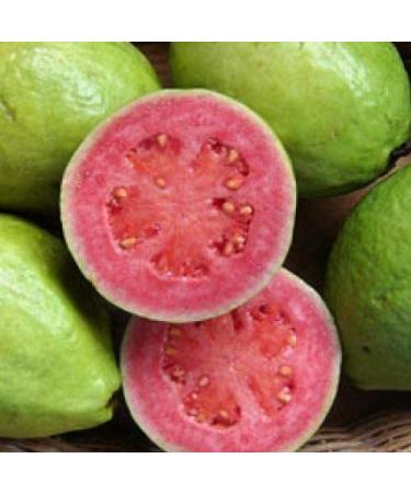 Enhorabuena Dulzura Artisanal Guava Stick Cookies - Made with Real Guava - 6.6 Oz Bag from Puerto Rico - Buy Online on GoSupps.com