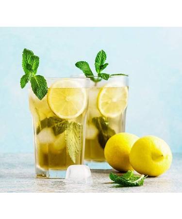 Organic Green Sencha Tea 1000g | Aromatic Loose Cut | 100% Natural | BioKontor - Buy Online on GoSupps.com