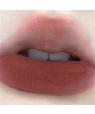  BADALO Velvet Mist Water Mist Lip Mud Soft Silky Matte Vegan White Lip Gloss Non-stick Lip Glaze Lipstick (Color : 5 Warm Reddish Brown) - Buy Online on GoSupps.com