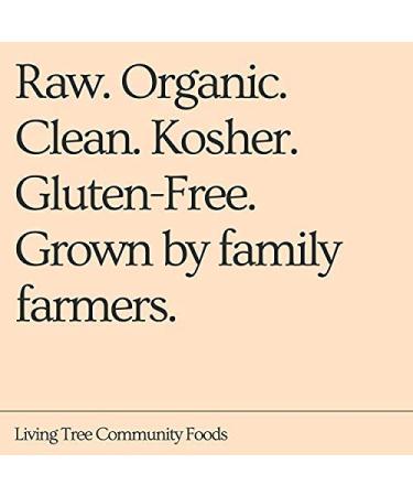 Organic Brazil Nut Butter - Fresh & Raw | Living Tree Community Foods | 16oz Jar | Small Batch, Always Fresh - Buy Online on GoSupps.com