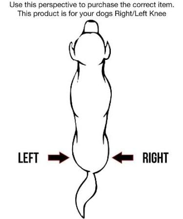 Kruuse Rehab Knee Pads for Dogs - XXL/XX-Large Right | International Shipping Available - Buy Online on GoSupps.com