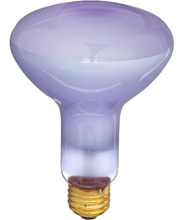 Buy Exo Terra Daylight Basking Spot 150W R30 - Broad Spectrum Daylight Lamp E27 for Reptiles | International Shipping - Buy Online on GoSupps.com