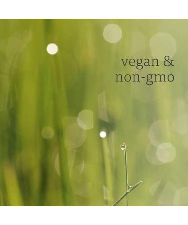 NOW Foods 100% Pure Lemongrass Essential Oil - 1 fl oz | Natural Aromatherapy & Wellness - Buy Online on GoSupps.com