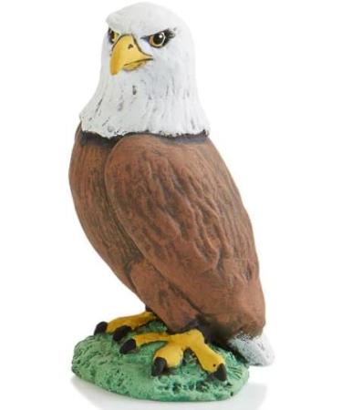 Paint Your Own Adorable Ceramic Eagle Keepsake - DIY Craft Kit - Buy Online on GoSupps.com
