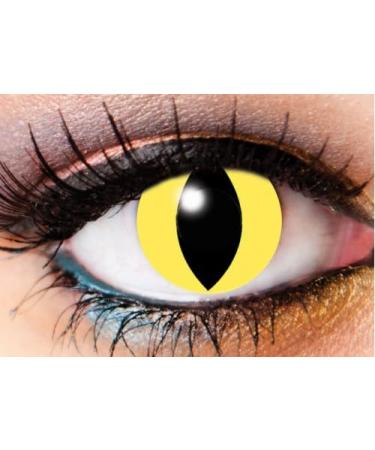 Cats Eye Contacts - 1 Day Contact Lens