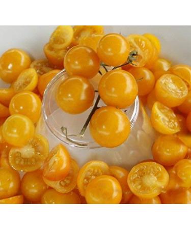 5 pacchetti di 25 semi gialli Semi-Cherry Tomato Della zia di Ruby