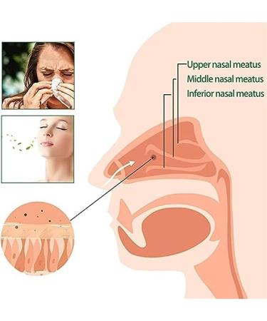 (Best Gifts) OnNature Organic Herbal Lung Cleanse Repair Nasal Spray Pro OnNature Organic Herbal Lung Cleanse - 20ML* 5PC - Buy Online on GoSupps.com