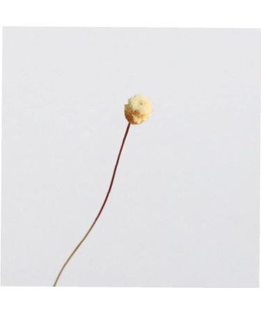 20 Rattan Diffuser Sticks for Essential Oils | Rose Replacement Refills for Home Bedroom Bathroom - Buy Online on GoSupps.com
