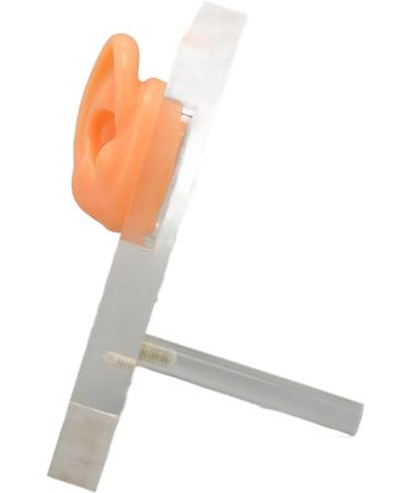 Silicone Right Ear Model with Fine Details - Ideal for ENT Hospitals - Buy Online on GoSupps.com