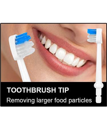 5 Replacement Nozzles and Cleaning Brush Set for h2ofloss Water Flosser - With Storage Box - Buy Online on GoSupps.com