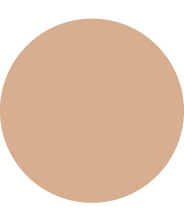 WYCON Cosmetics PARTY HARD Vegan-Friendly Fluid Foundation with Natural Shimmering Finish - 07 MEDIUM BEIGE - Buy Online on GoSupps.com