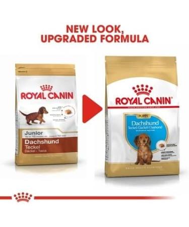Royal Canin Dachshund Puppy Food 1.5kg (Pack of 3) - Buy Online on GoSupps.com