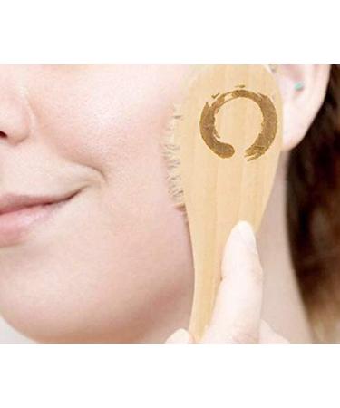 Premium Dry Body Brush Set with Face Brush, Loofah, Nail Brush, Pumice Stone & Exfoliation Gloves - Includes Custom Carry Bag - Buy Online on GoSupps.com