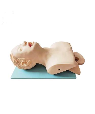 Manikin Teaching Model Electronic Airway Management Trainer Intubation Head Teaching Study Manikin Teaching Model Science Lab Education