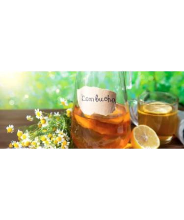 Helden Mazilz Organic Kombucha SCOBY - 100% Natural Plastic-Free Makes 6 Liters - Perfect Gift for Tea Lovers - Buy Online on GoSupps.com