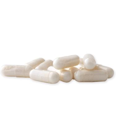 Raab Vitalfood MSM Capsules - Highly Pure Methylsulfonylmethane with Vitamin C | 200 Vegan Capsules for Optimal Health - Buy Online on GoSupps.com