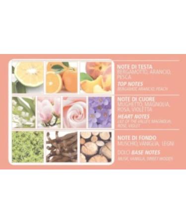 Buy Acqua di Bolgheri La Magnolia Body Lotion 200ml - Luxurious Hydration Fast International Shipping - Buy Online on GoSupps.com