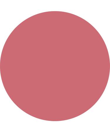  WYCON cosmetics WYCON cosmetics LIP SHOT Satin lipstick with a light and enveloping texture 14 PRETTY PRINCESS - Buy Online on GoSupps.com