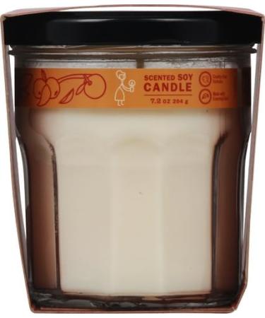Mrs. Meyer's Clean Day Apple Cider Soy Aromatherapy Candle - 35 Hour Burn Time Essential Oils Eco-Friendly 7.2 oz - Buy Online on GoSupps.com