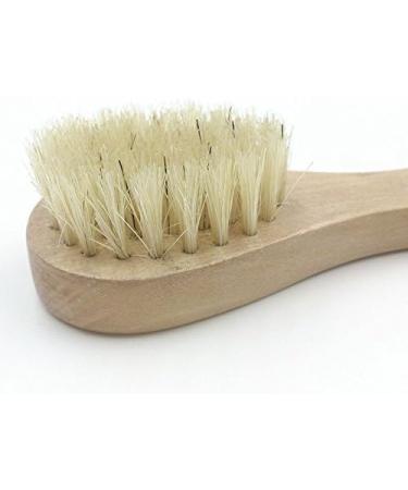 JIAHAO Wooden Face Cleaning Brush - Exfoliating Facial Scrub Tool with Natural Soft Bristles for Skin Care - Buy Online on GoSupps.com