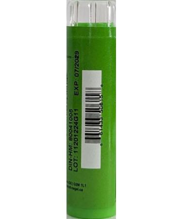 Buy Nitricum Acidum 200K Homeopathy Medicine Schmidt-Nagel Canada - 90 Pellets/Granules | International Shipping Available - Buy Online on GoSupps.com
