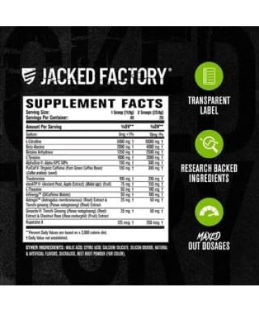 Jacked Factory Nitrosurge Max High Performance Pre Workout Powder - Pre Workout w/Nootropic Ingredients for Intense Focus Pumps & Energy (Electric Blue Raspberry 40sv & Cherry Bomb 40sv) - Buy Online on GoSupps.com