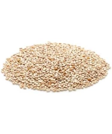 Yupik Raw White Chia Seeds 1 kg Gluten-Free Kosher Vegan Natural Seeds Plant-Based Superfood Rich in Fiber Source of Omega-3 Ideal for Chia Pudding & Smoothies Gels Easily Chia Seeds 1 kg - Buy Online on GoSupps.com