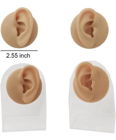 WEHOMY Silicone Left Ear Model for Teaching Instruction - Realistic 3D Display Tool Skin Color - Buy Online on GoSupps.com