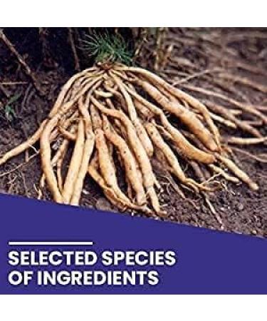 FERON Shatawari Snat shatavri satavri poeder 250gm - Buy Online on GoSupps.com