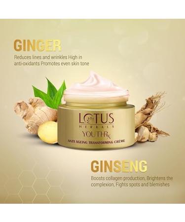 L_ot.us Herbals Youthrx Anti-Ageing Cream - SPF 25 | Transforming Formula with Gineplex Youth Compound | Visible Reduction of Aging Signs | Suitable for All Skin Types | 50g - Buy Online on GoSupps.com