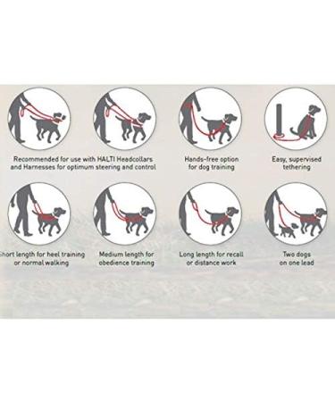 HALTI Double-Ended Dog Lead Small Red - Premium Neoprene-Padded Leash for Puppy & Training - 2m Reflective Adjustable Lengths - Ideal for Hands-Free Running - Buy Online on GoSupps.com