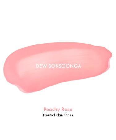 AMUSE OFFICIAL DEW TINT 13 DEW BOKSOONGA - Genuine Korean Makeup Lipstick Tint Glossy Vegan - Buy Online on GoSupps.com
