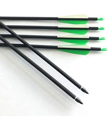 12-PK GPP Archery 30-Inch Carbon Arrows for Recurve & Compound Bow - Green Vanes - Buy Online on GoSupps.com