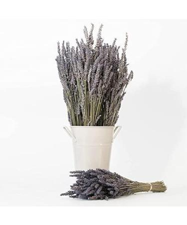 Victoria's Lavender Pillow and Linen Spray Lavender Essential Oil - Lavender Spray Pillow Spray Pillow Mist Spray Handmade in Oregon Pack of 2 16 oz Total Lavender 8 Fl Oz (Pack of 2) - Buy Online on GoSupps.com