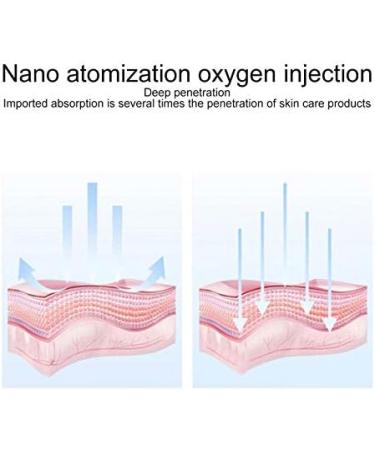 Portable Oxygen Facial Machine for Professional Skin Moisturizing - Handheld Injection Sprayer - Buy Online on GoSupps.com