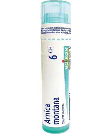 Arnica Montana 6ch / 6 C 4g Homeopthic Medicine Multi Dose Tube by Boiron Canada