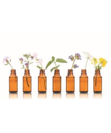 Fennel oil bitter 10ml by Dragonspice Naturwaren 10ml 10 ml (1 pack)