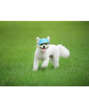 BBEART Sporty Baseball Cap for Dogs | Medium & Large | Ear Holes & Chin Straps | Size L | Orange - Buy Online on GoSupps.com
