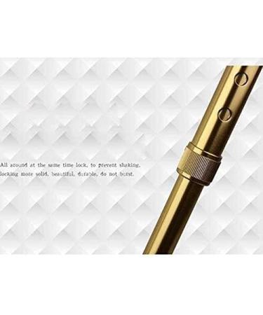 Canes Adjust Cane Retractable Aluminum Non Slip Medicare Walking Stick Star of Light - Buy Online on GoSupps.com