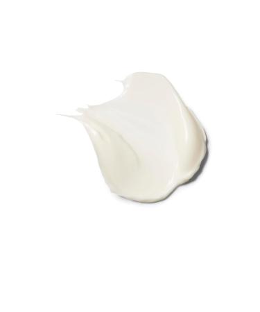 KORRES Wild Rose Skin Brightening Night Cream Hydrating Face Moisturizer with Vitamin C Hyaluronic Acid and Turmeric Extract Overnight Facial Cream for Women with Tired Depleted Skin 40 ml New Pink Packaging - Buy Online on GoSupps.com