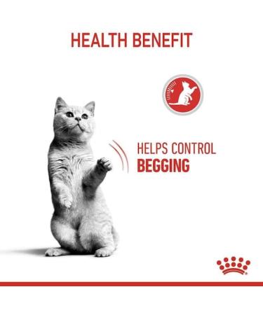 Royal Canin Appetite Control Care Adult Dry Cat Food 2kg (Suitable for Sterilised Cats) 2 kg (Pack of 1) - Buy Online on GoSupps.com