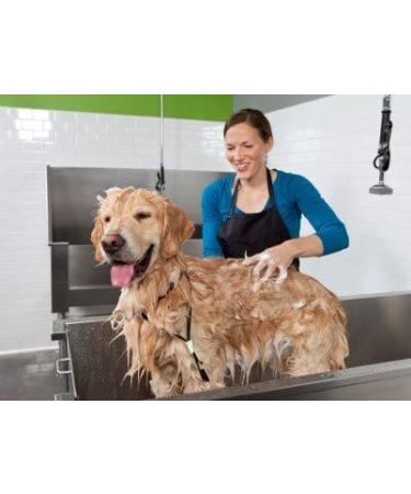 Simply Pure Pet Tearless Cucumber Melon Shampoo Concentrate - 1 Gallon (128oz) - Buy Online on GoSupps.com