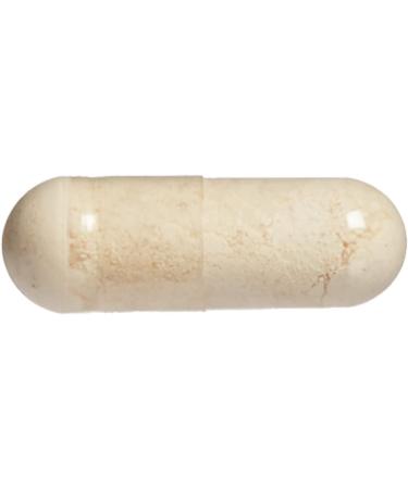 Natural Factors Betaine Hydrochloride with Fenugreek 500mg - 90 Vegetarian Capsules for Digestive Support - Buy Online on GoSupps.com