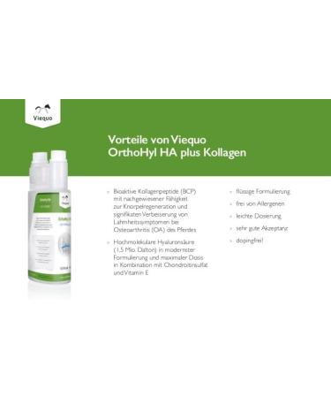 Vetvital Viequo Orthohyl HA for Horses - 1L Joint Supplement for Mobility & Resilience | Ideal for All Ages & Sports Horses - International Shipping Available - Buy Online on GoSupps.com
